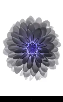 Galaxy Flower android App screenshot 2